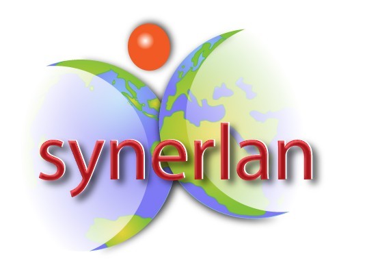 Logo Synerlan SSII Lyon